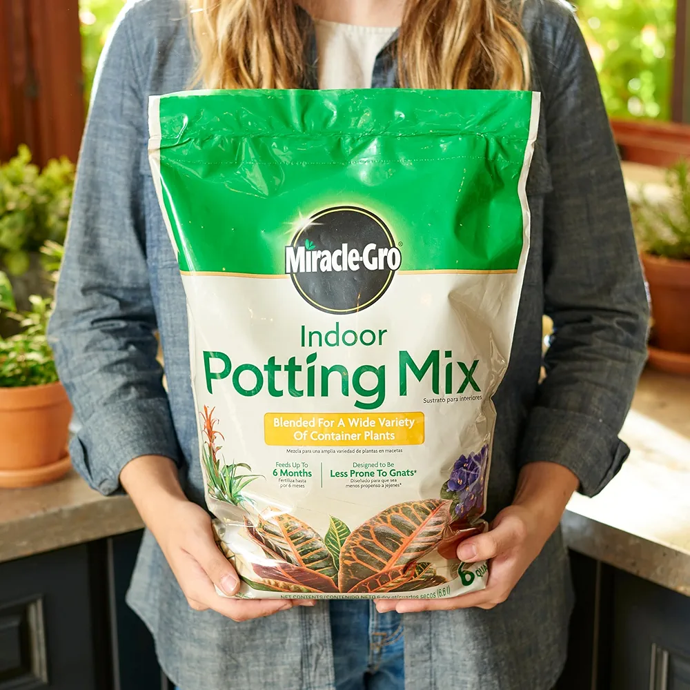 best soil mix (3L)6袋 Amazon.com : Back to the Roots 3-in-1 Seed Starting Mix 6